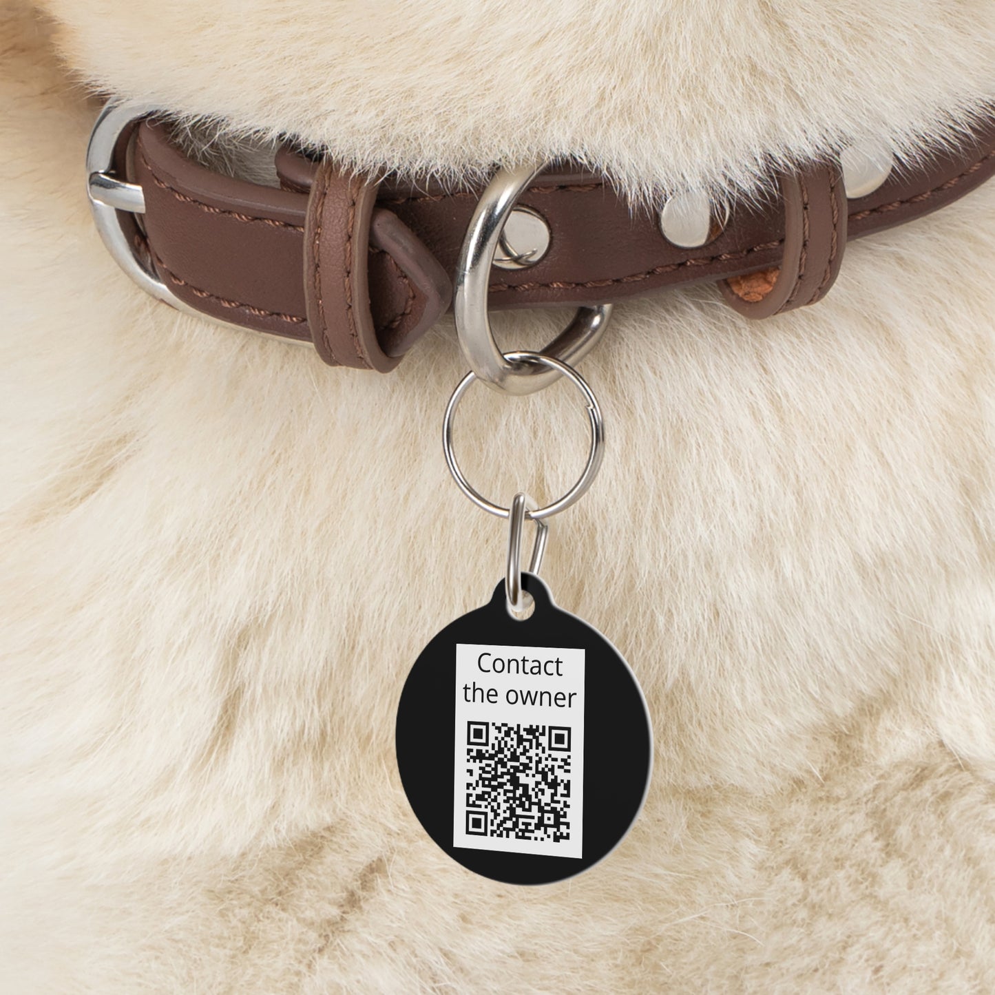 QR-Enabled Pet ID Tag — "Lost & Found" Smart Pet Tag with Secure QR Contact Form Black