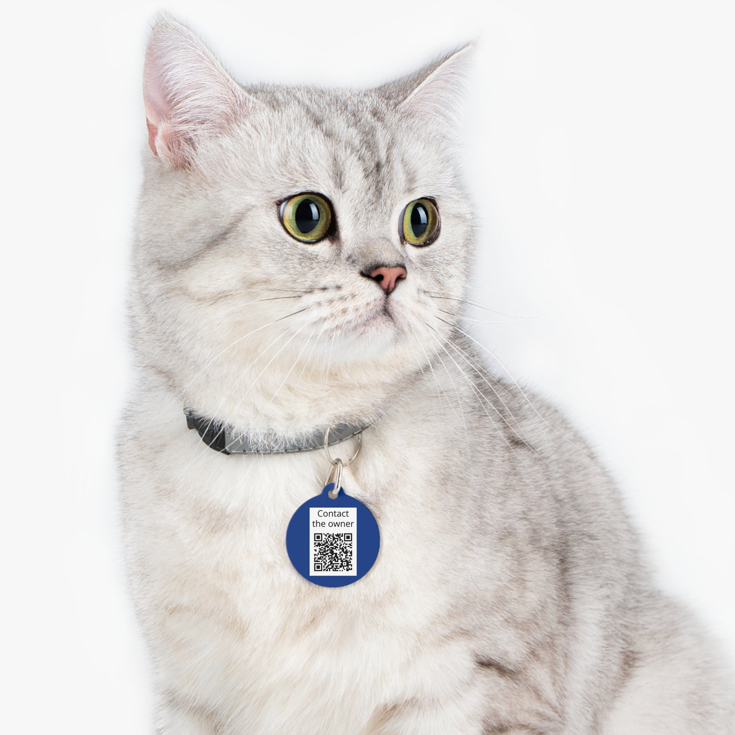 QR-Enabled Pet ID Tag — "Lost & Found" Smart Pet Tag with Secure QR Contact Form Blue