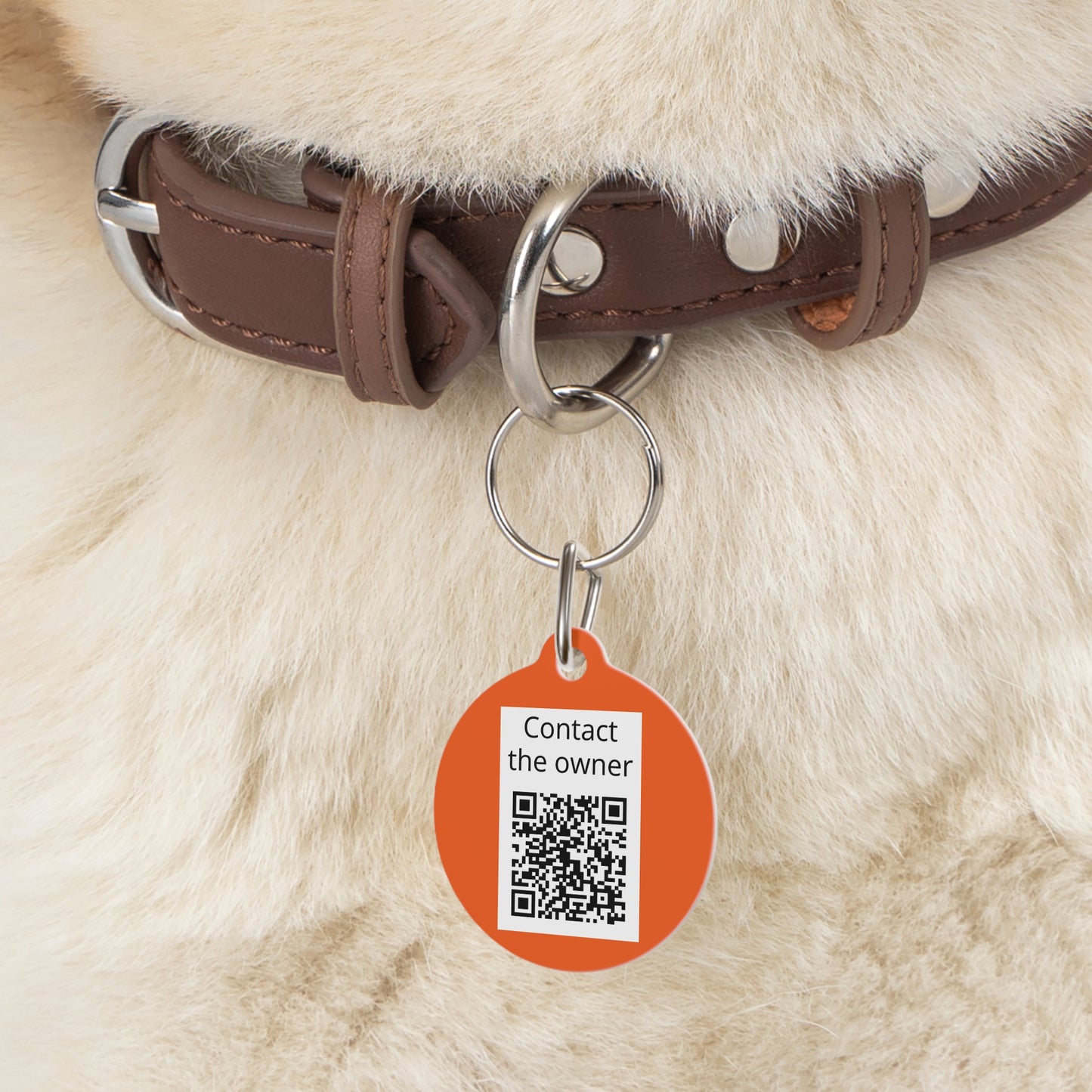 QR-Enabled Pet ID Tag — "Lost & Found" Smart Pet Tag with Secure QR Contact Form Orange