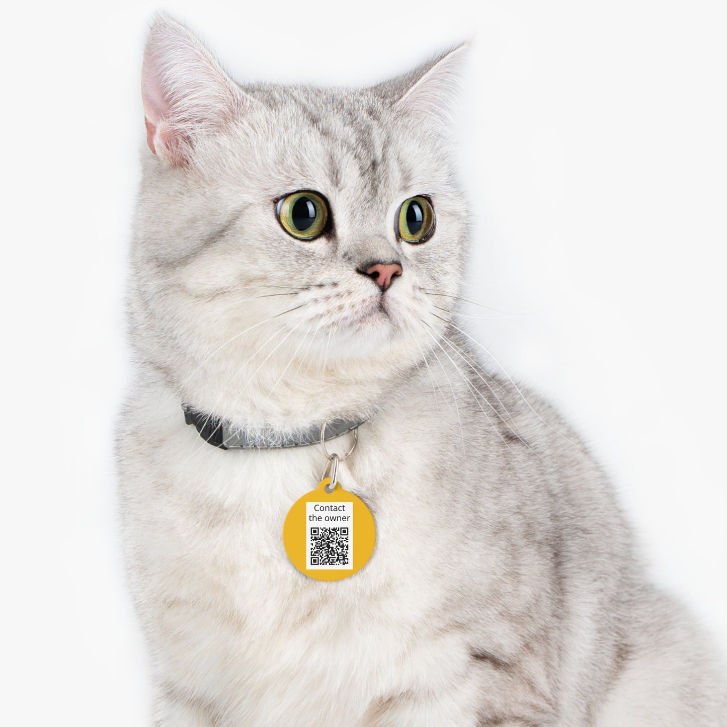 QR-Enabled Pet ID Tag — "Lost & Found" Smart Pet Tag with Secure QR Contact Form Yellow