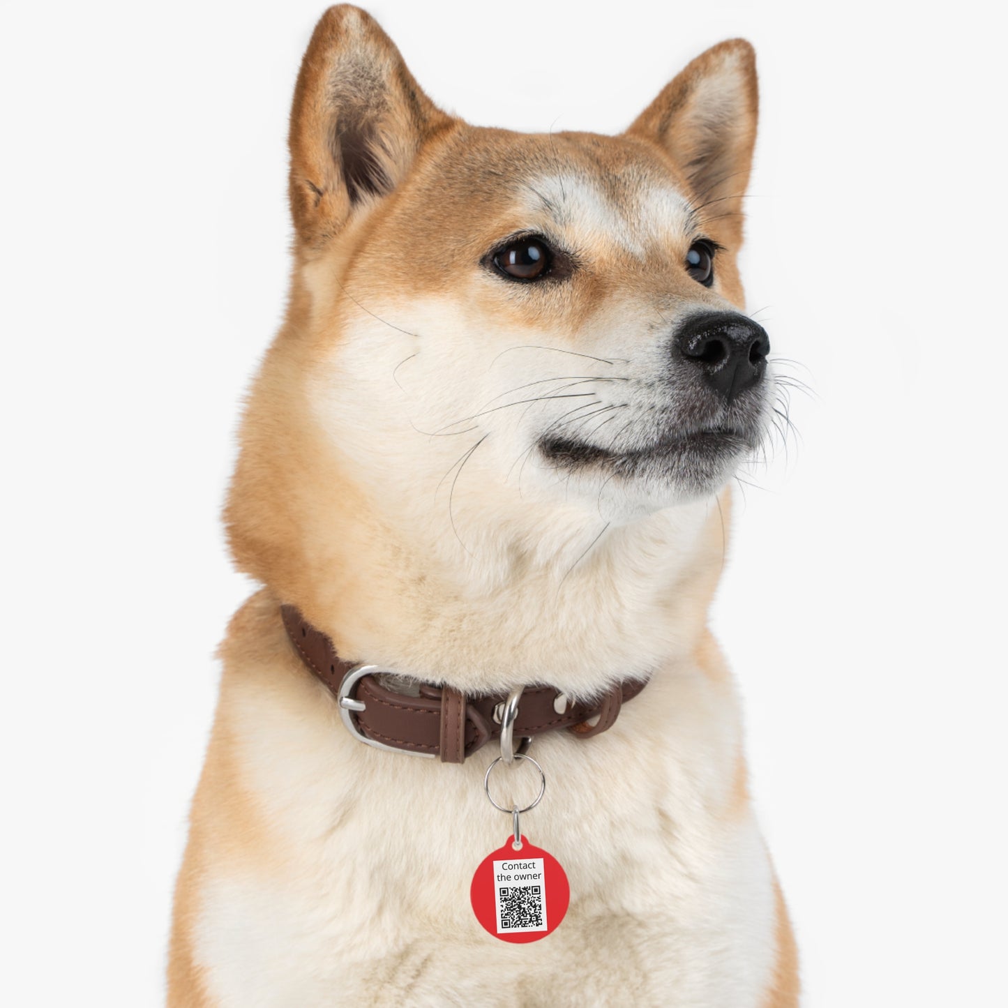 QR-Enabled Pet ID Tag — "Lost & Found" Smart Pet Tag with Secure QR Contact Form Red