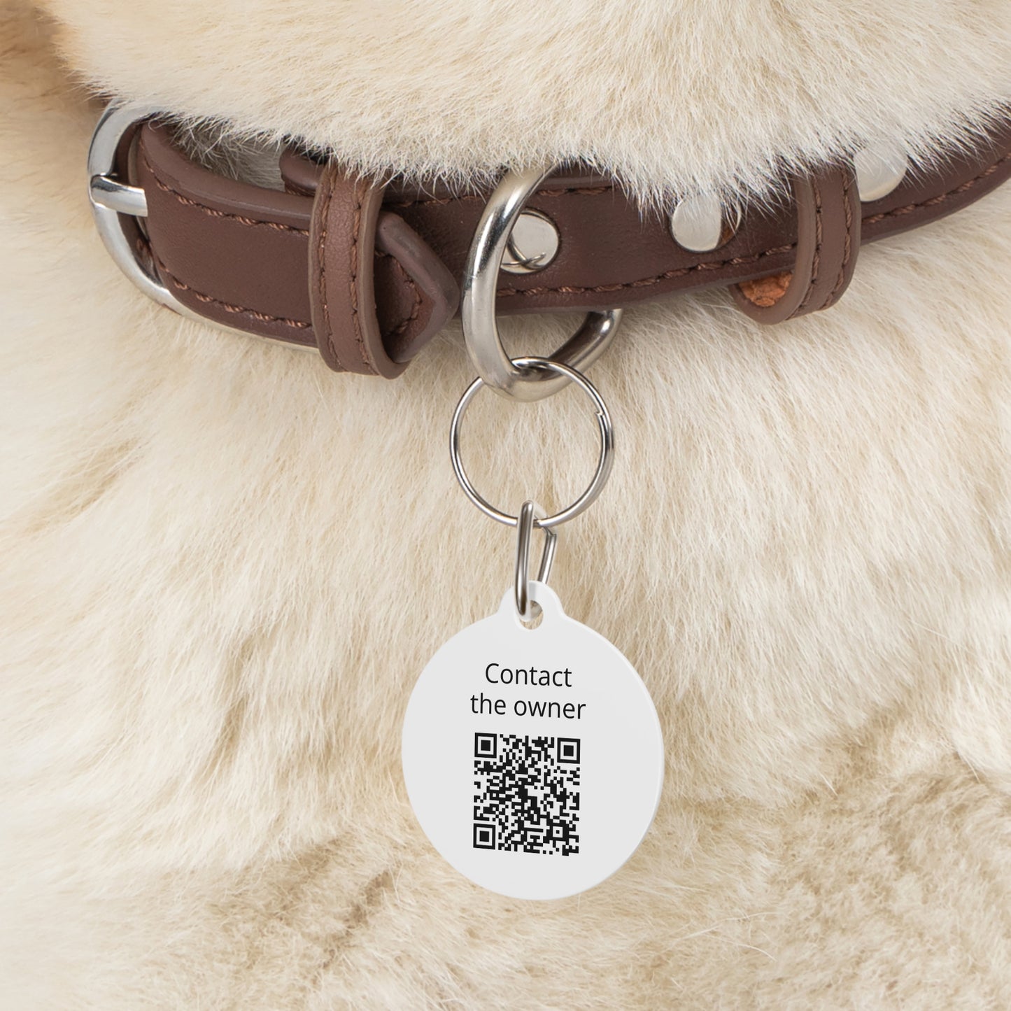QR-Enabled Pet ID Tag — "Lost & Found" Smart Pet Tag with Secure QR Contact Form White