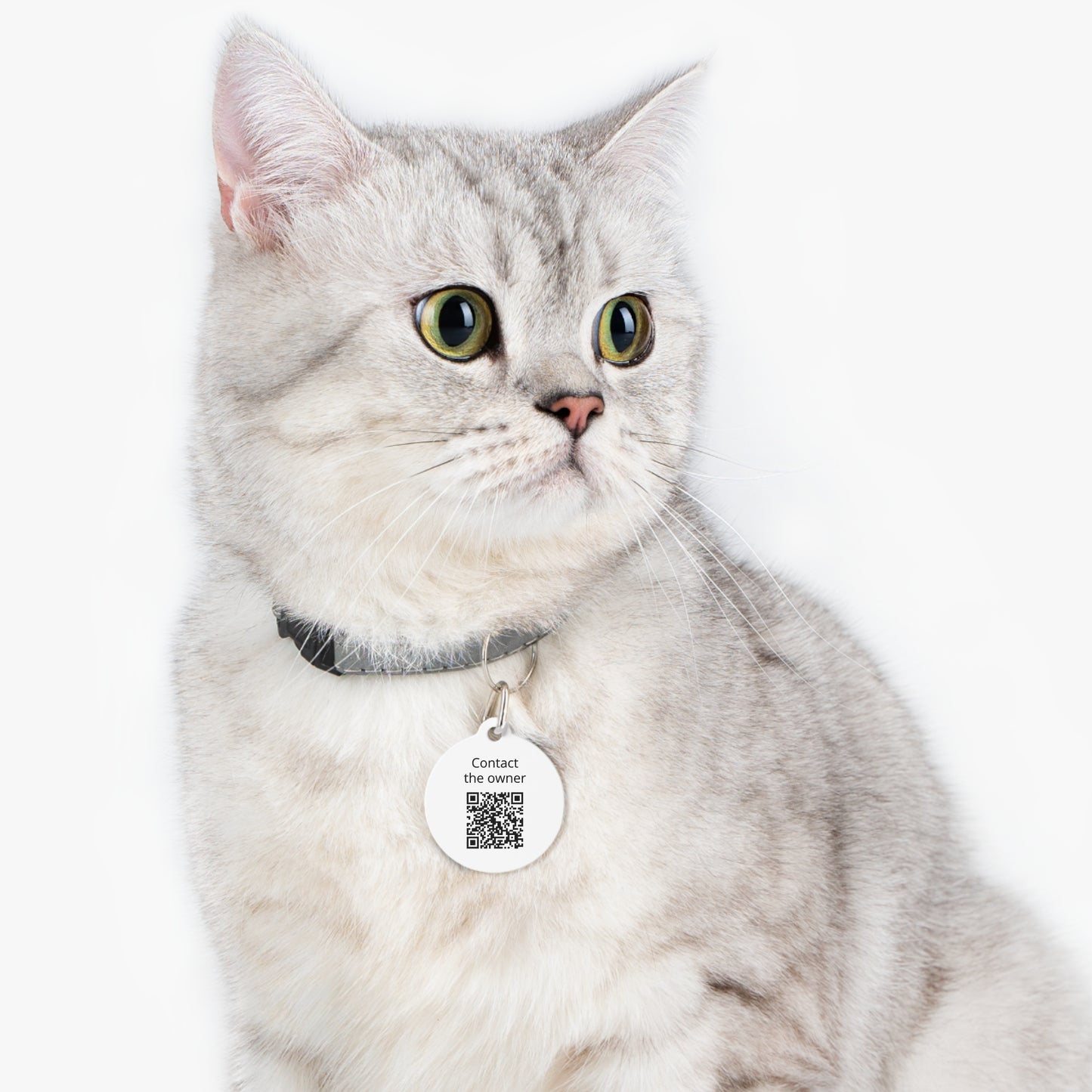 QR-Enabled Pet ID Tag — "Lost & Found" Smart Pet Tag with Secure QR Contact Form White