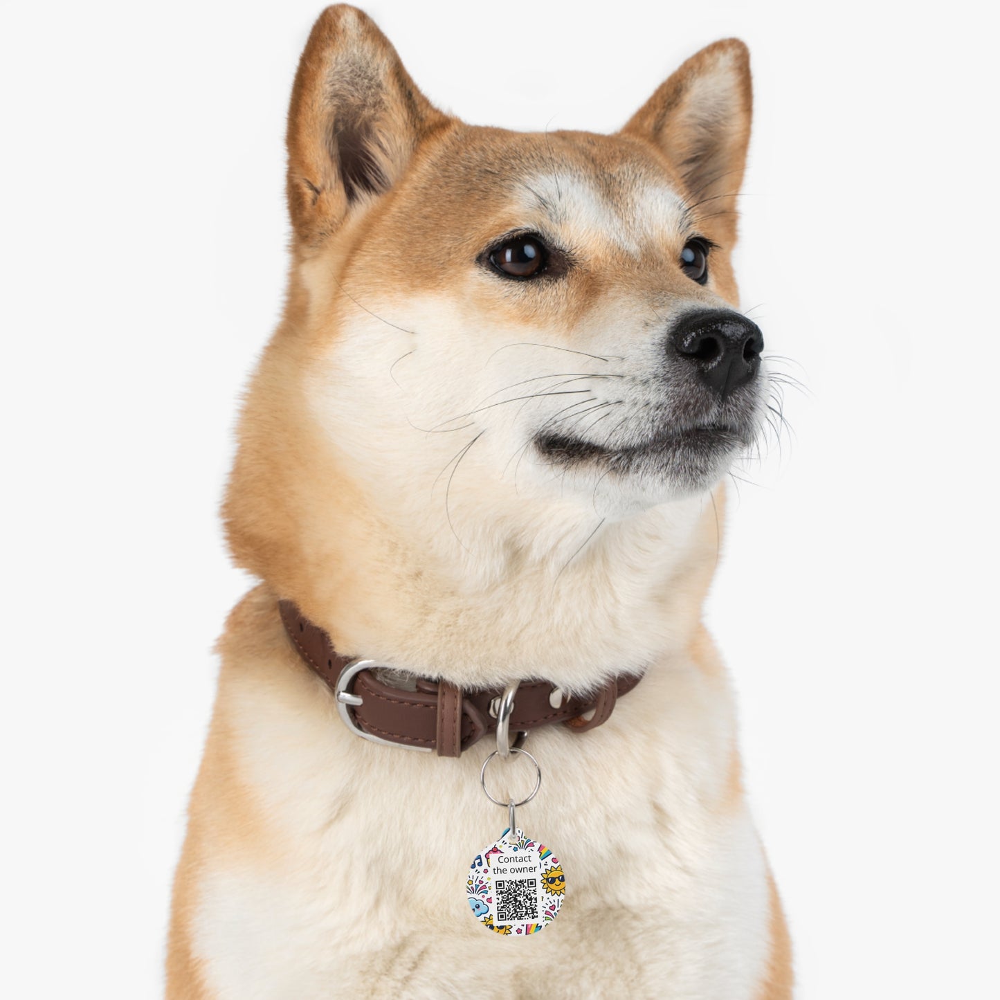 QR-Enabled Pet ID Tag — "Lost & Found" Smart Pet Tag with Secure QR Contact Form (Happy energetic)