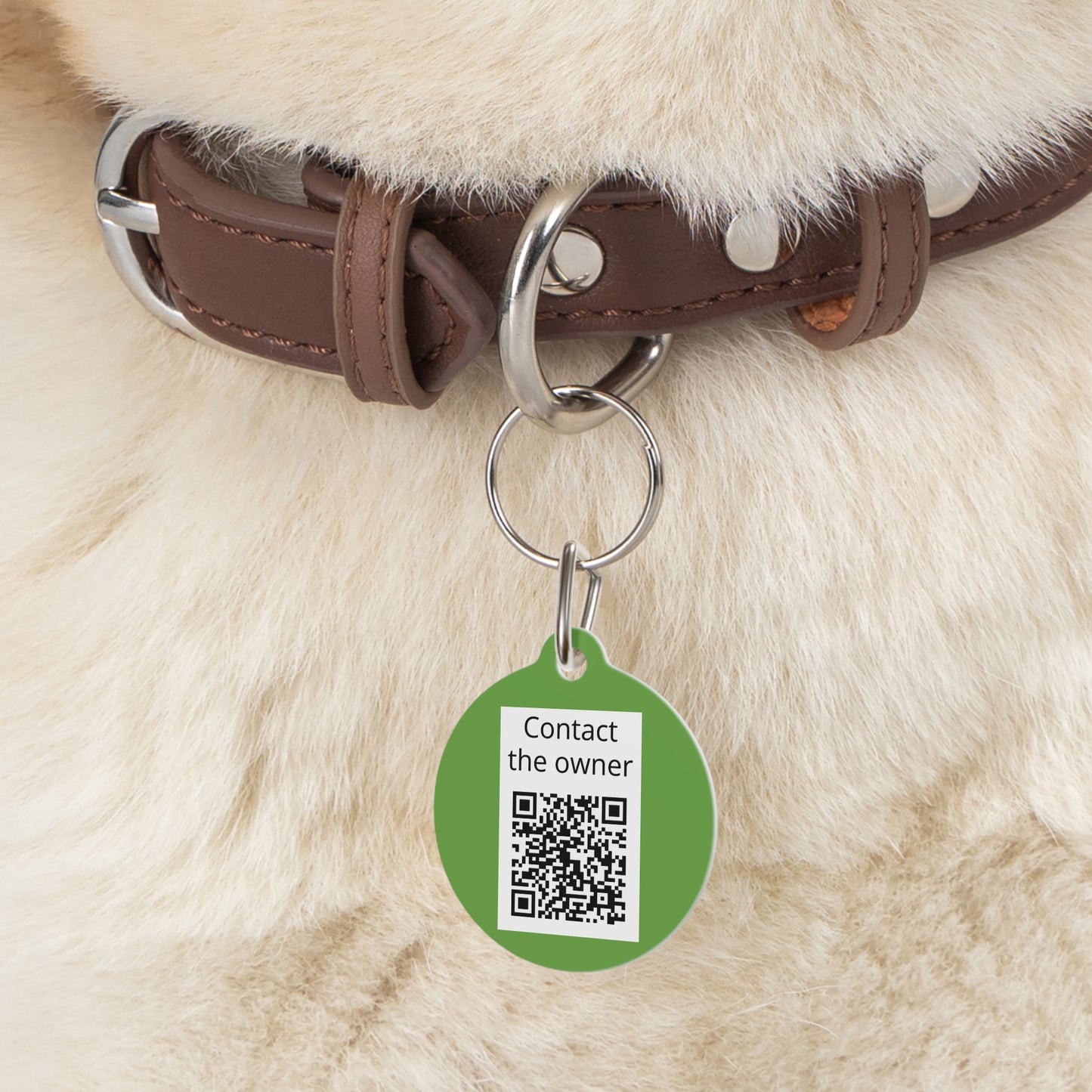 QR-Enabled Pet ID Tag — "Lost & Found" Smart Pet Tag with Secure QR Contact Form Green