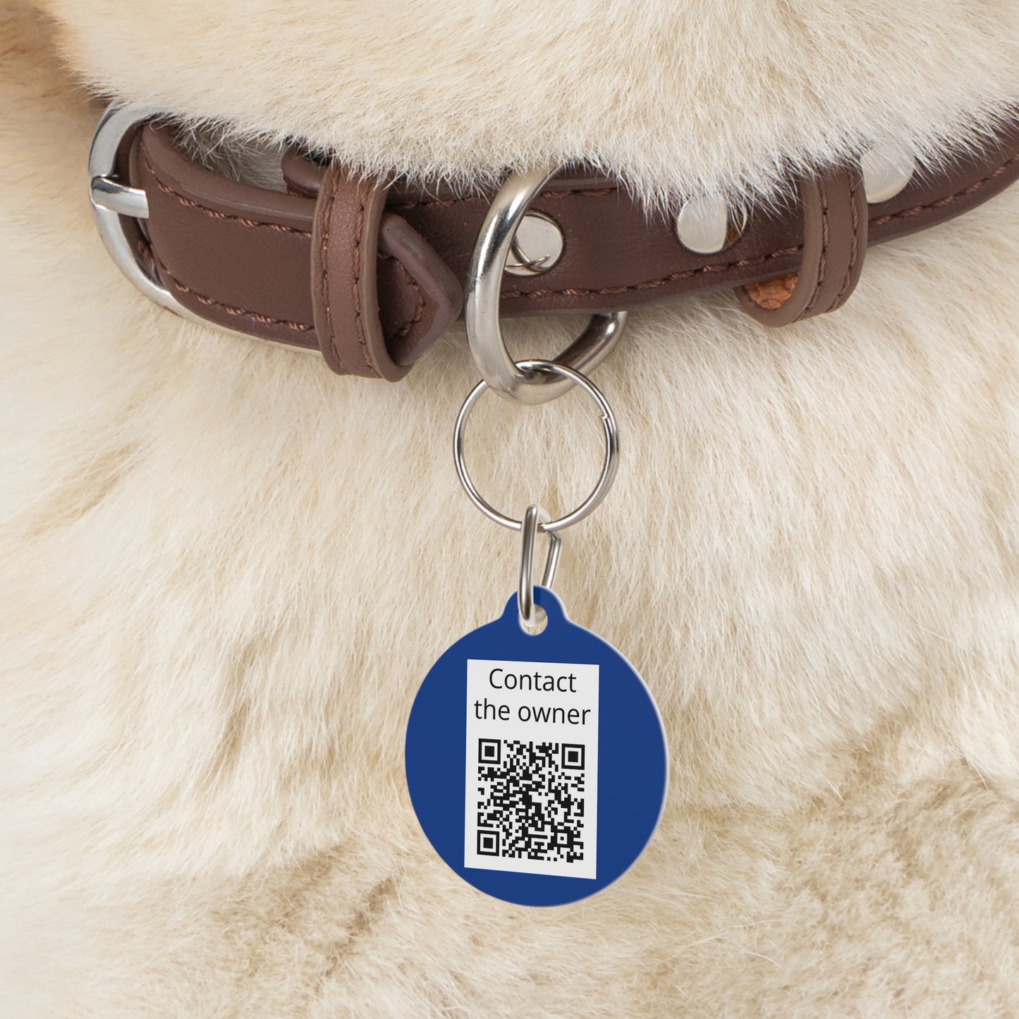 QR-Enabled Pet ID Tag — "Lost & Found" Smart Pet Tag with Secure QR Contact Form Blue