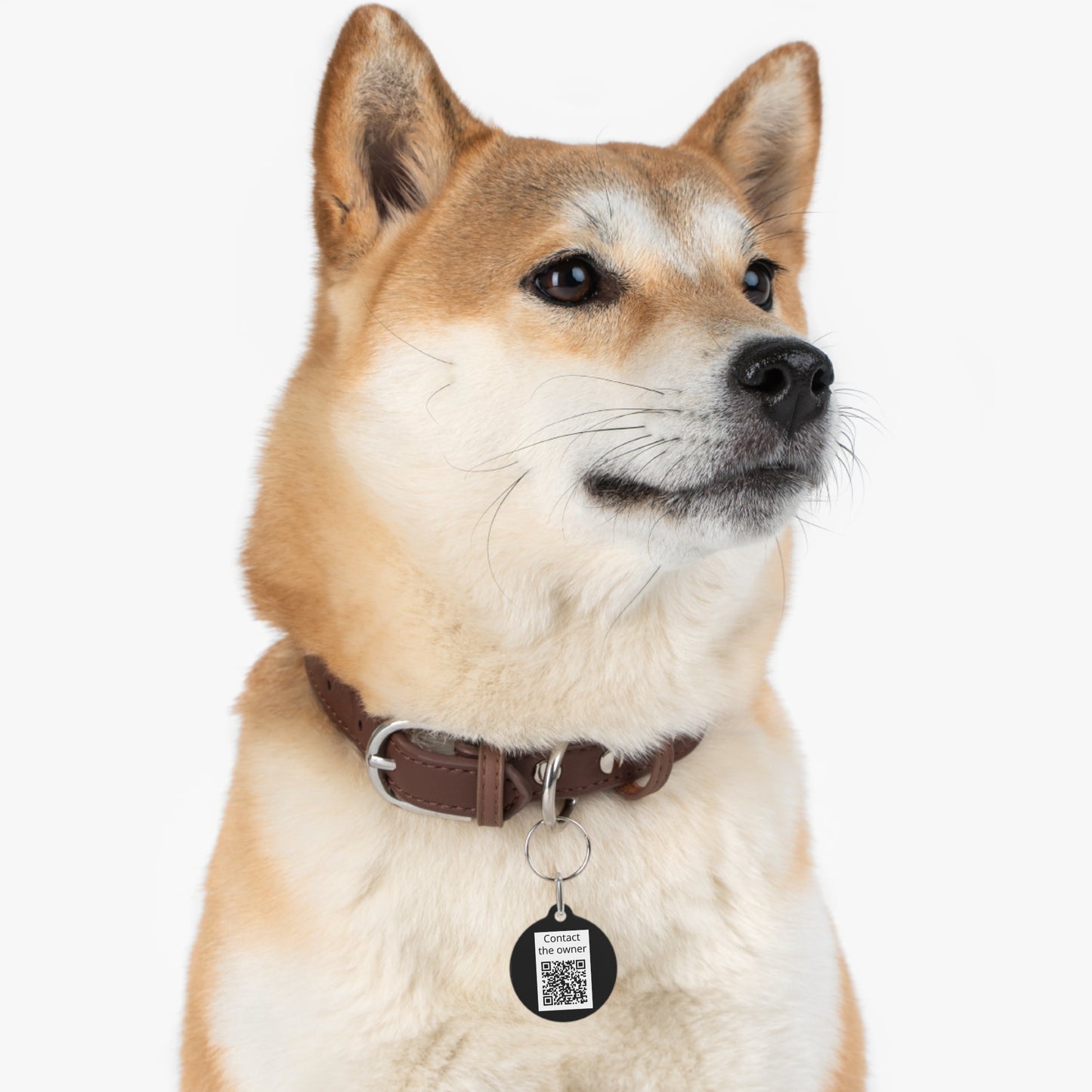 QR-Enabled Pet ID Tag — "Lost & Found" Smart Pet Tag with Secure QR Contact Form Black