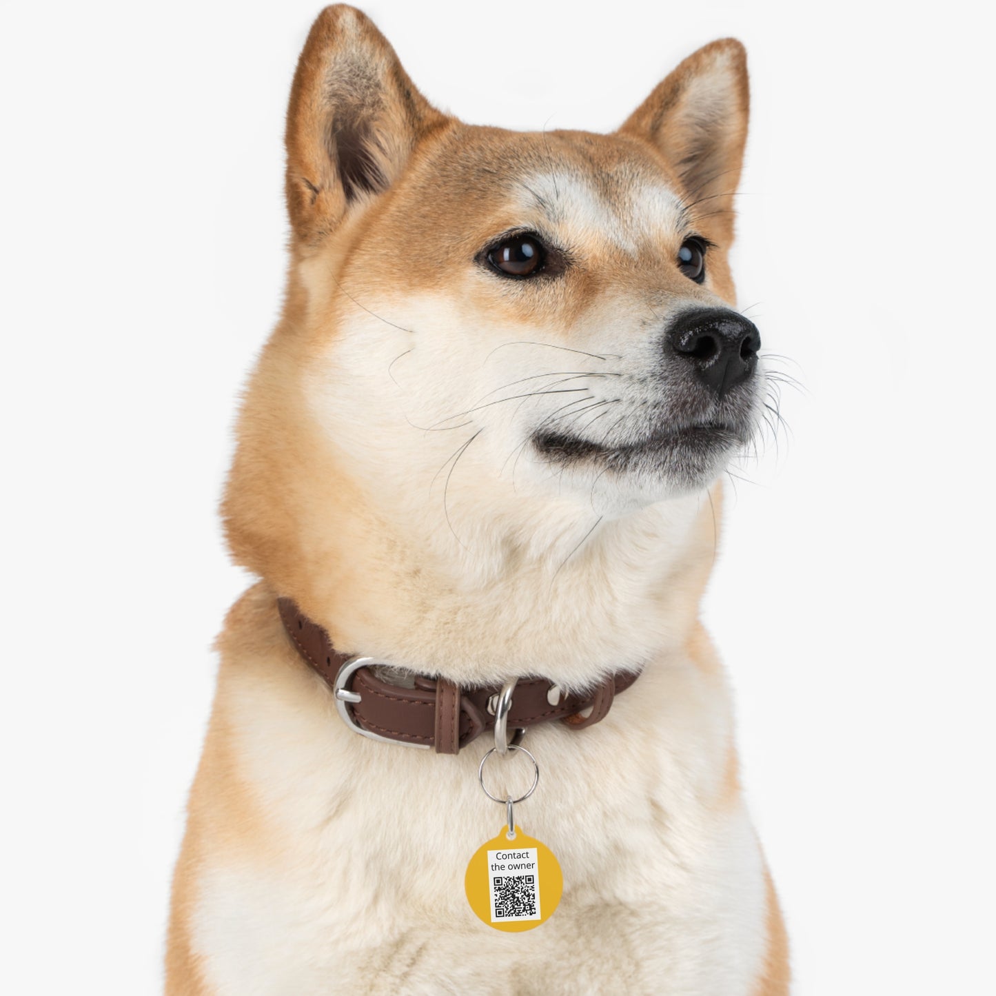 QR-Enabled Pet ID Tag — "Lost & Found" Smart Pet Tag with Secure QR Contact Form Yellow