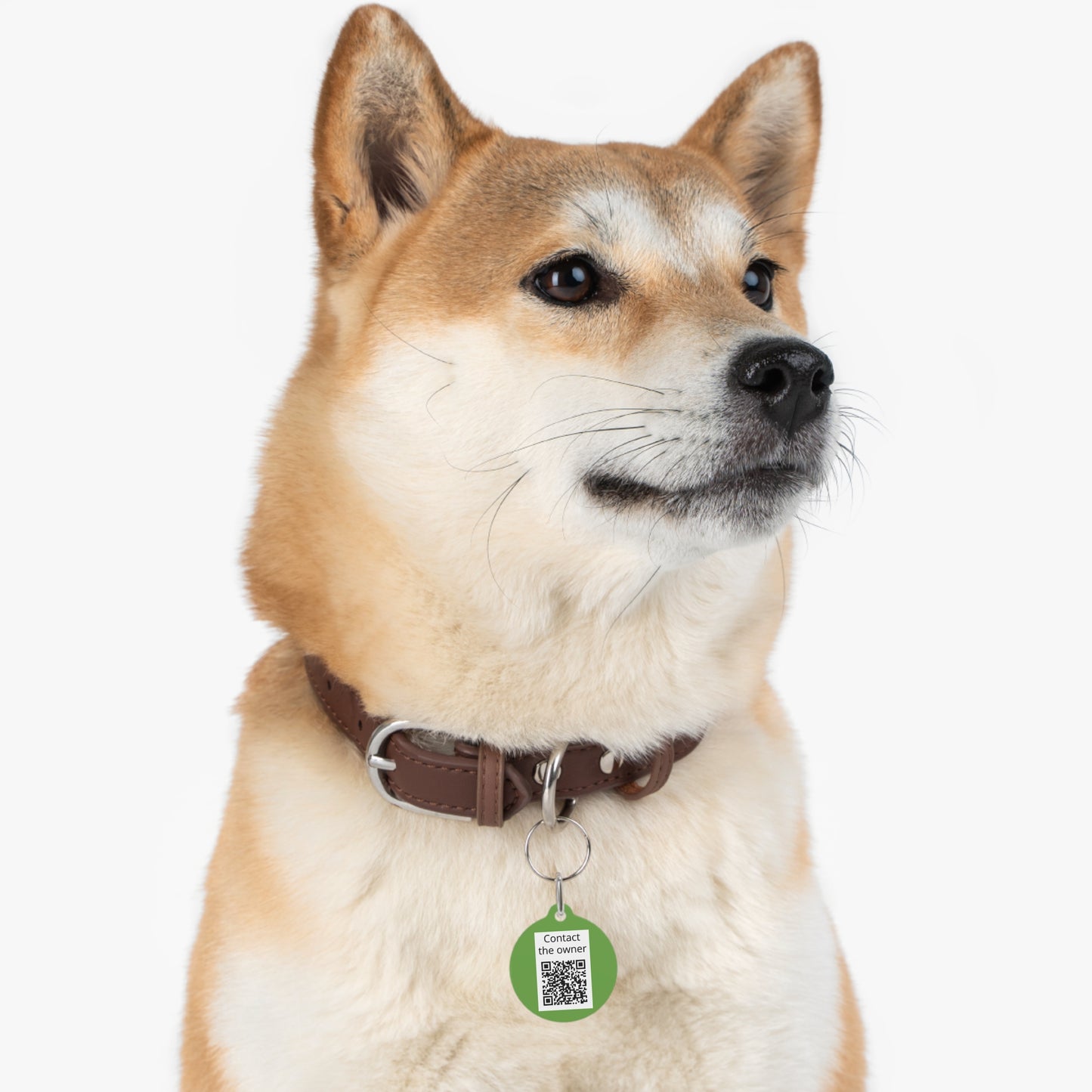 QR-Enabled Pet ID Tag — "Lost & Found" Smart Pet Tag with Secure QR Contact Form Green