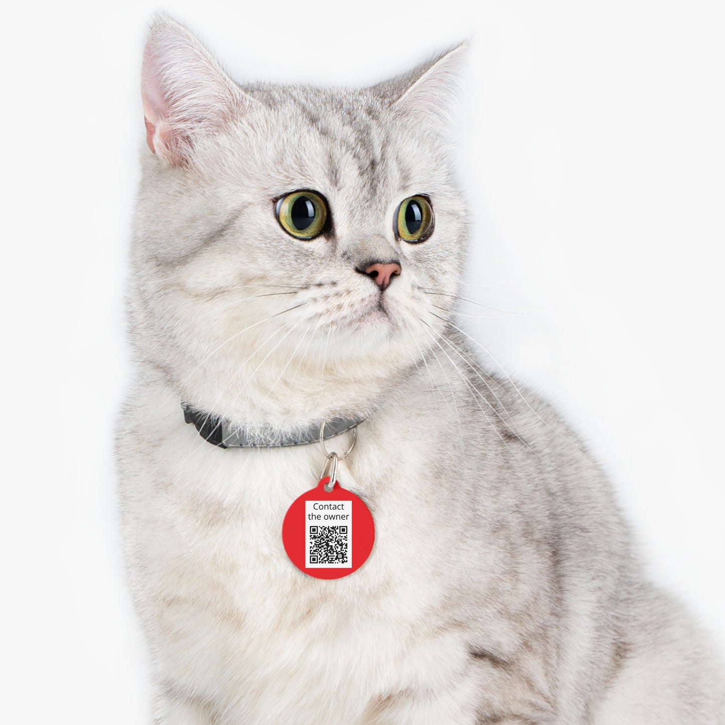 QR-Enabled Pet ID Tag — "Lost & Found" Smart Pet Tag with Secure QR Contact Form Red