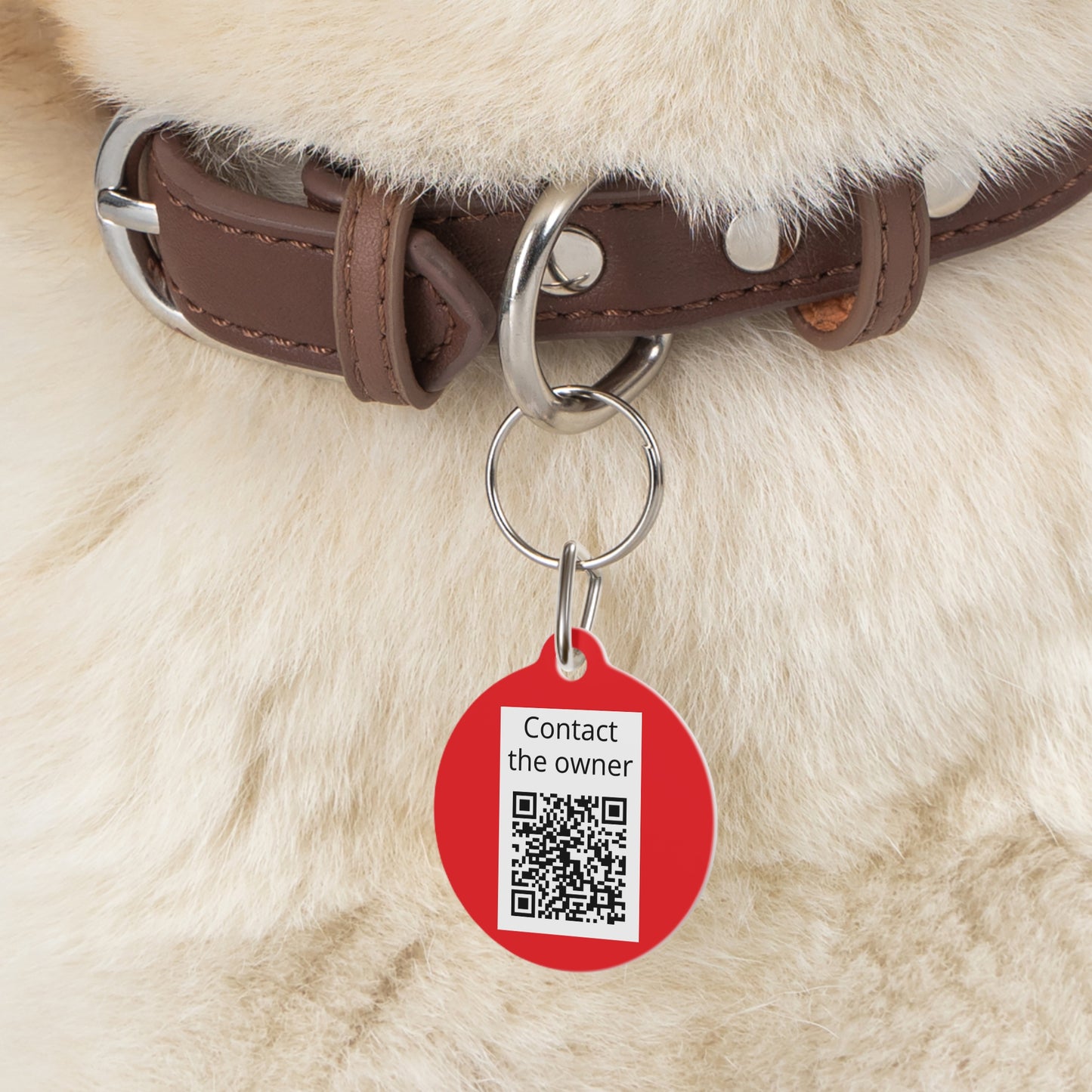 QR-Enabled Pet ID Tag — "Lost & Found" Smart Pet Tag with Secure QR Contact Form Red